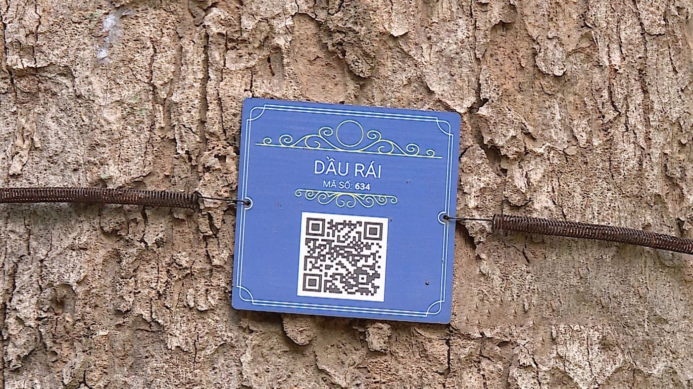 Chuyển đổi số trong quản lý cây xanh tại Hà Nội: Mã QR Code mang tiện ích đến vườn bách thảo